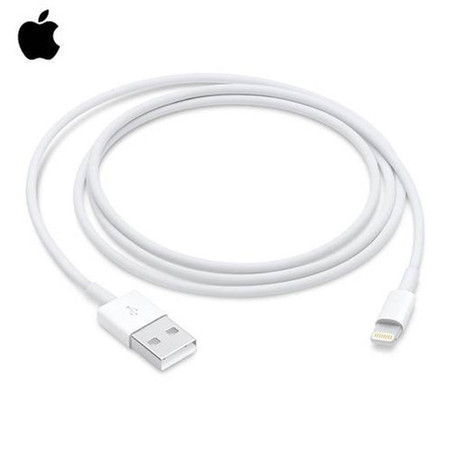 苹果/APPLE Lightning/闪电转 USB 连接线 (1 米)