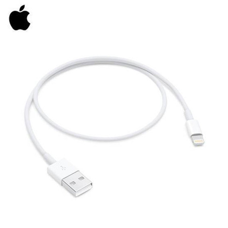 苹果/APPLE Lightning/闪电转 USB数据线图片
