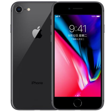 苹果 /APPLE iPhone 8 (A1863) 64GB 灰色 移动联通电信 4G手机图片