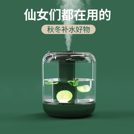 汤河店 2020新款加湿器 usb夜灯 可加柠檬水果花瓣加湿器 大容量1L上加水a