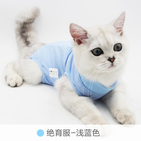 汤河店 猫咪手术服母猫绝育服断奶服术后服防舔夏弹性宠物猫衣服猫术后服图片