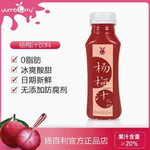 扬百利 杨梅汁饮料瓶装果蔬汁20%果汁含量300ml*6
