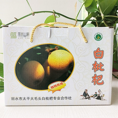 【丽水振兴馆】丽水山耕 莲都白枇杷 5斤精品果装 单果28g左右