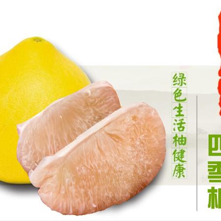 温州特产正宗马站四季柚一箱13斤左右 新鲜水果柚子（6个装）图片