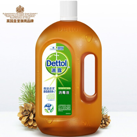 滴露Dettol 消毒液 750ml 杀菌除螨 儿童宝宝内衣 家居室内 宠物环境消毒 消毒水 衣物除