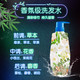 清扬 植觉无硅油洗发水 男士净透去屑洗发露 竹叶精华380ml