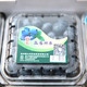建德蓝莓鲜果 4盒500g 江浙沪顺丰包邮 新鲜有机 大颗饱满鲜甜营养丰富