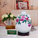 瓷拍 景德镇陶瓷器代中式花瓶客厅摆件酒店装饰多福长寿名人瓷瓶