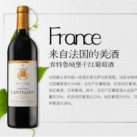 (瑾瑜白鹿堡)法国葡萄酒肯特鲁买一瓶送一箱迪勒精致干红一箱图片