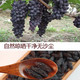 农家自产 新疆吐鲁番黑美人葡萄干  1kg