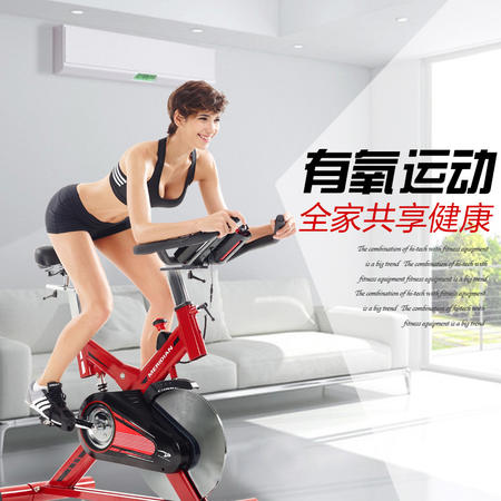 艾米娅 动感单车家用超静音塑身自行车 室内运动健身器材 减震锻炼健身车图片