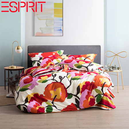 ESPRIT 高档欧式全棉四件套 AU12图片