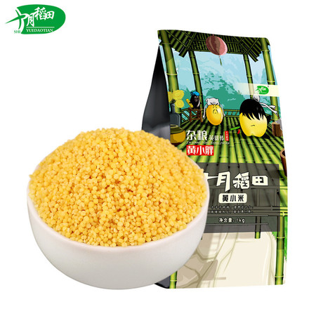 十月稻田 东北杂粮黄小米 1kg