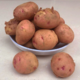 新鲜小土豆10斤农家自种蔬菜红皮黄心土豆