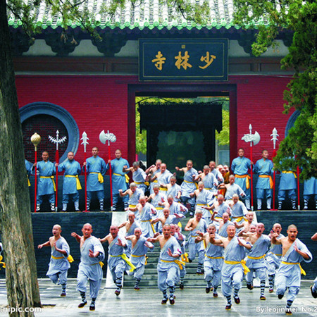 【仅限新乡地区销售】鸿雁/少林寺一日游