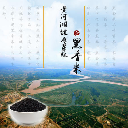 豫之星 黄河滩黑香米500g 黑米 世界米中之王 长寿米图片