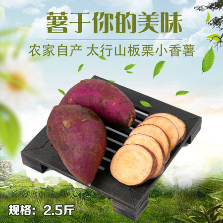 DL农家自产 太行山板栗小香薯2.5斤 小红薯新鲜现挖板栗番薯迷你地瓜图片