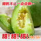 农家自产 绿宝甜瓜 5斤装（约6-9个） 新鲜水果甜瓜脆瓜绿宝石香瓜