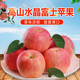 DL农家自产 高山水晶富士苹果16斤 脆甜新鲜水果