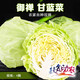 【扶贫助农】御禅 甘蓝菜4个 圆白菜卷心菜包菜莲花白泡菜农家自种现摘约10斤