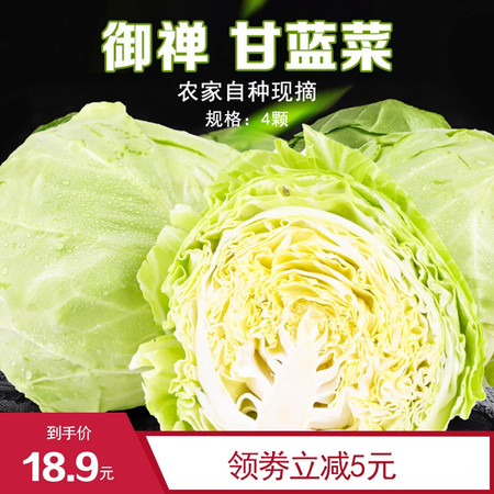 【扶贫助农】御禅 甘蓝菜4个 圆白菜卷心菜包菜莲花白泡菜农家自种现摘约10斤图片