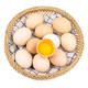 农家自产 农家散养土鸡蛋20枚/箱 营养健康