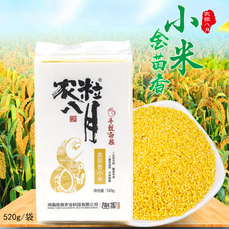 农粒八月 金苗香小米520g/袋 糯小米粥杂粮米脂小米