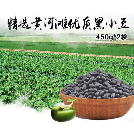 豫之星 黄河滩农家黑小豆450g/袋*2袋  药黑豆 白芯黑豆五谷杂粮图片