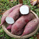 农家自产 商薯19红薯2.5斤/箱   白心红薯白瓤香糯白薯
