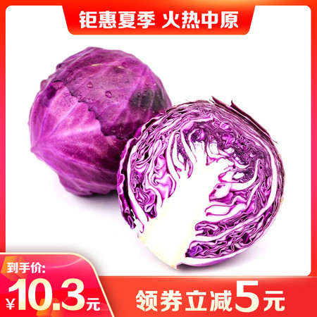 【直播节活动】农家自产 紫甘蓝6.5斤 现摘应季蔬菜