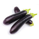 【直播节活动】农家自产 绿把长紫茄子7斤 现摘新鲜