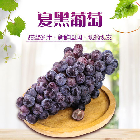 农家自产  夏黑葡萄 新鲜水果 特产当季应季夏黑红提子1500g/箱图片