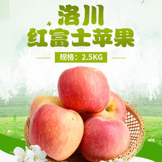 农家自产 【河南邮政】春英简装2.5kg洛川红富士苹果（80mm以上）