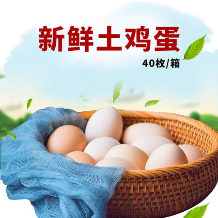 农家自产 【河南邮政】玉玲 柴鸡蛋40枚/箱图片