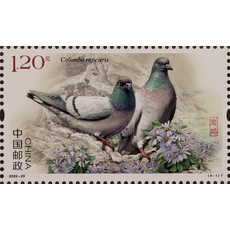 【长沙集藏】 《鸽》特种邮票1套4枚