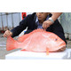 创华红鱼干 晾晒好的整条红鱼干 野生海鱼  500g