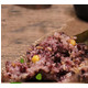 老俵情  紫红米粽超值大礼袋100g*8只（紫米蜜豆粽2只、豆沙粽2只、肉粽4只）粽子