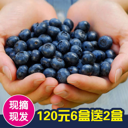 【预售】千岛湖精选晚熟蓝莓买6盒送2盒(125g/盒)