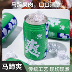 爱明 荔浦马蹄爽清凉饮料，12罐装