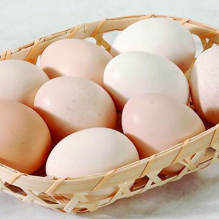 【邮乐濮阳馆】TQ 台前 西张 特产 土鸡蛋新鲜散养土鸡蛋柴笨鸡蛋16枚40g-50g