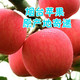 烟台栖霞红富士原产地 苹果净重4kg 包邮 85#  新鲜 生态