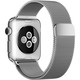 Apple Watch 38 毫米（米兰尼斯）表带