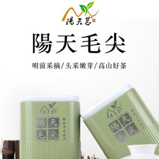 阳天茗 【寻乌特产】江西寻乌阳天毛尖茶