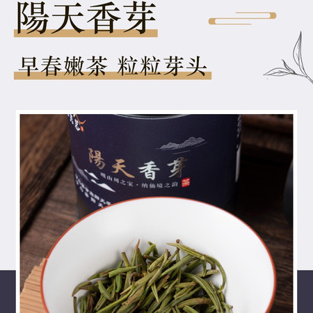 阳天茗 【寻乌特产】江西寻乌阳天香芽茶