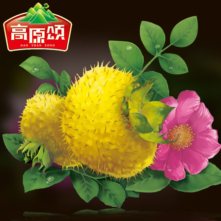 【贵州特产】高原颂野生刺梨蜂蜜干果278g