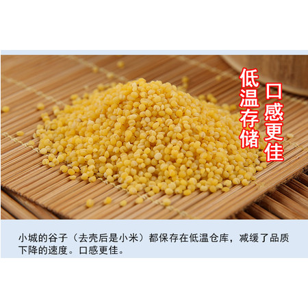 【小康龙江精准扶贫】明水对面小城杂粮小米500g/袋*2 不发货图片