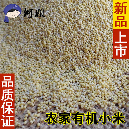 西林县句町人家农家小米1500g/包图片