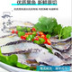 壹条鱻 【珠海馆】酸菜鱼 优质黑鱼原切 三口味可选