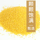 鹤来香  黄小米新米 金谷小米 500g/袋