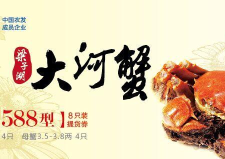 武汉梁子湖 梁子大闸蟹 1588型螃蟹套餐实物图片